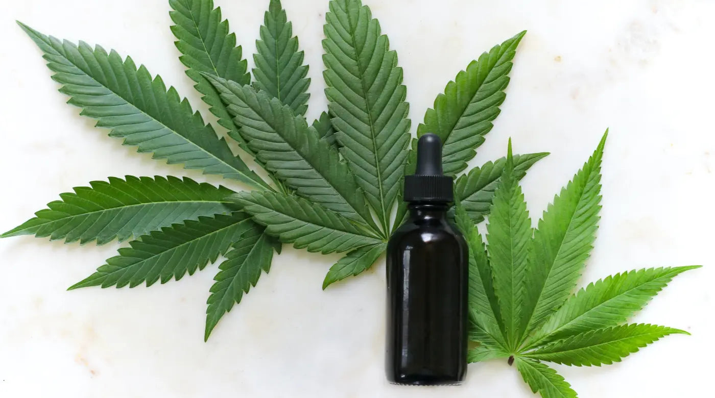 Small dark glass CBD oil dropper bottle lying beside large green cannabis hemp leaves on a white marble surface