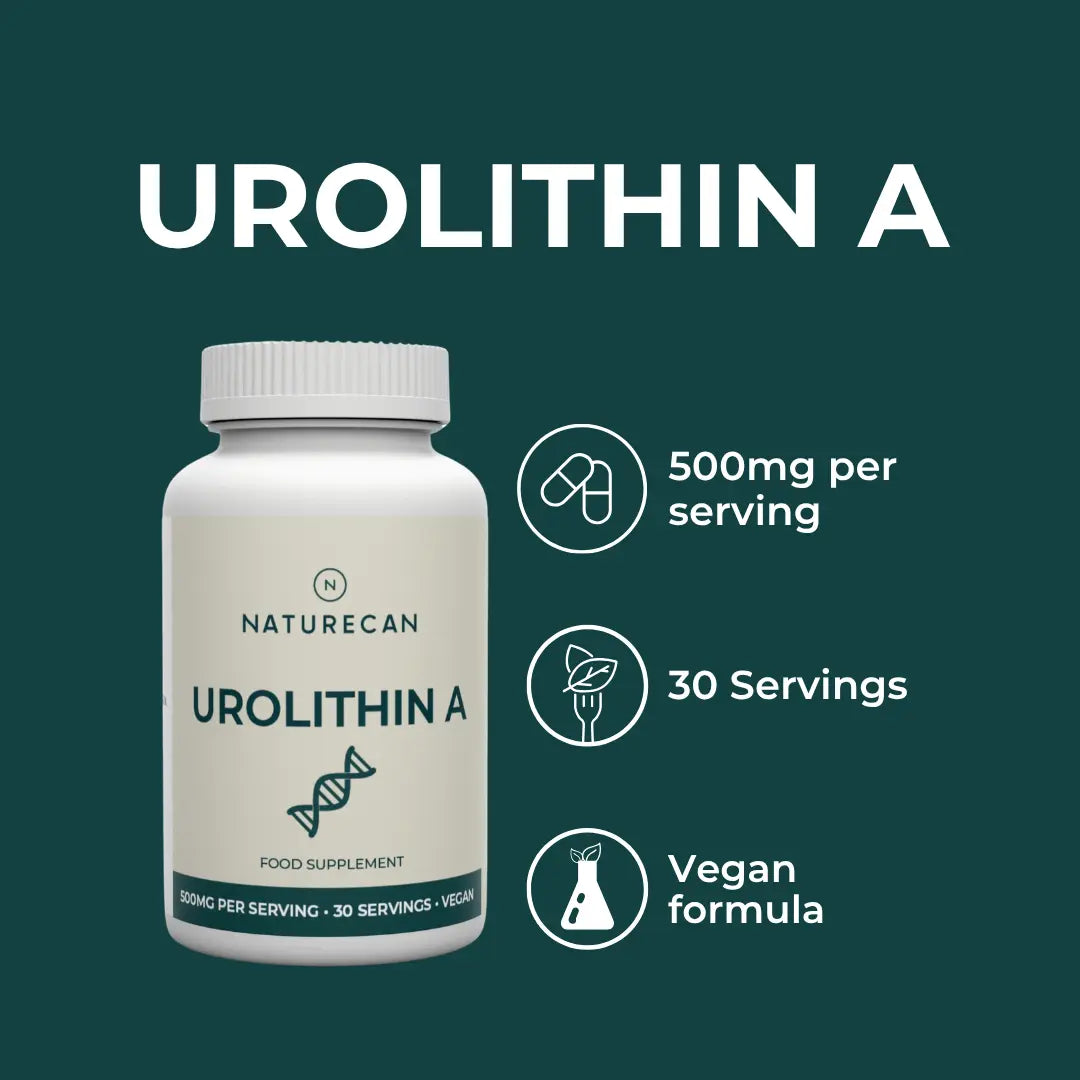 Urolithin A product highlights infographic – teal background with bottle and three callouts: 500mg per serving, 30 servings, vegan formula