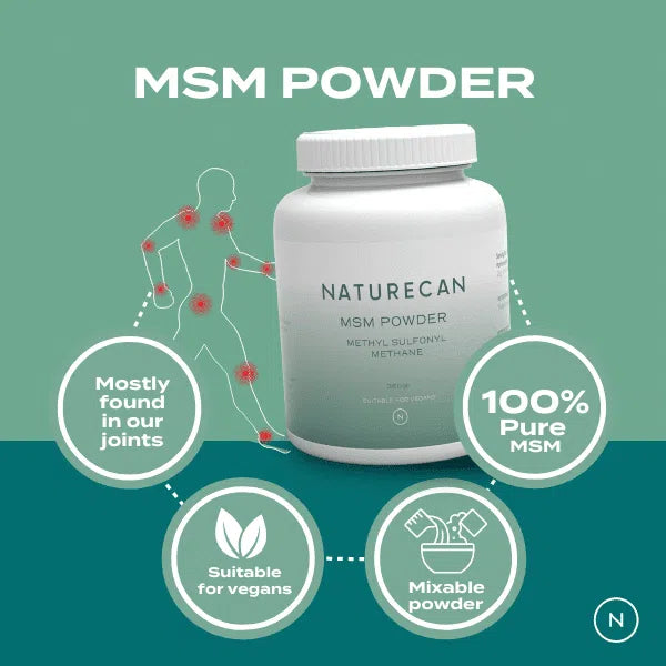MSM Powder