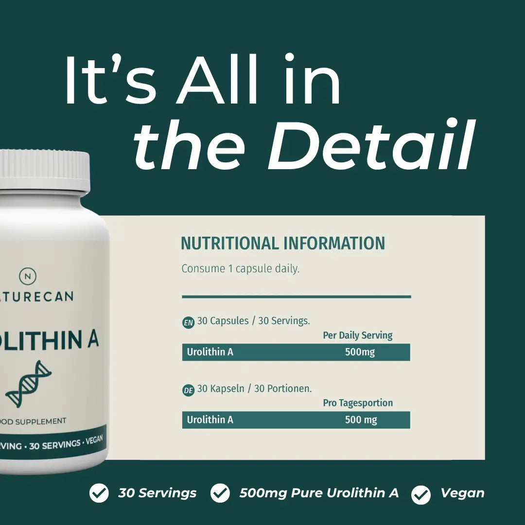 Urolithin A nutritional information infographic – teal background showing 30 capsules per 30 servings (1 capsule daily), Urolithin A 500mg per daily serving; bilingual English and German label; checklist: 30 servings, 500mg Pure Urolithin A, vegan
