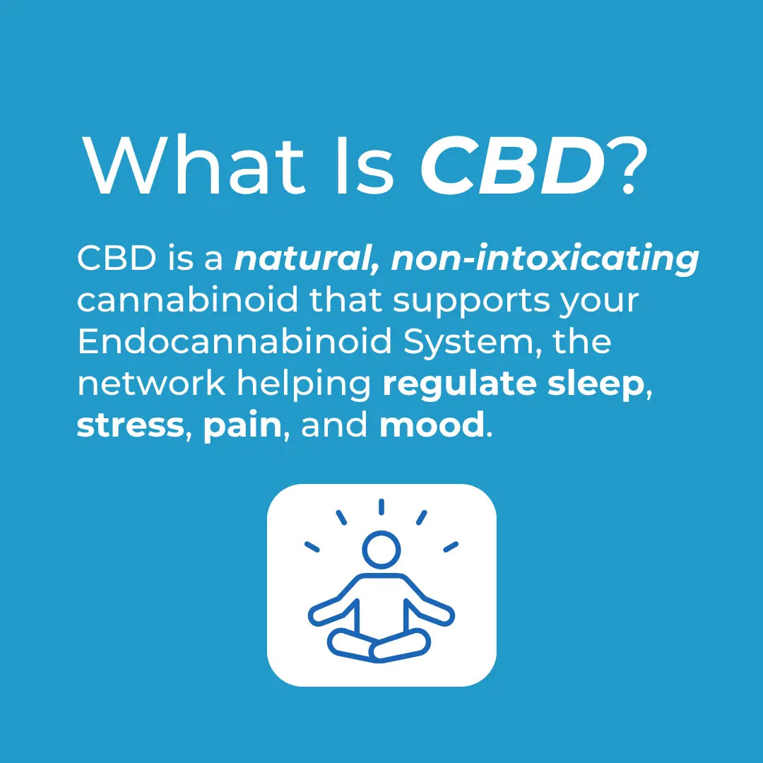 What is CBD? infographic – blue background explaining CBD is a natural non-intoxicating cannabinoid supporting the Endocannabinoid System to regulate sleep, stress, pain and mood; with meditation figure icon
