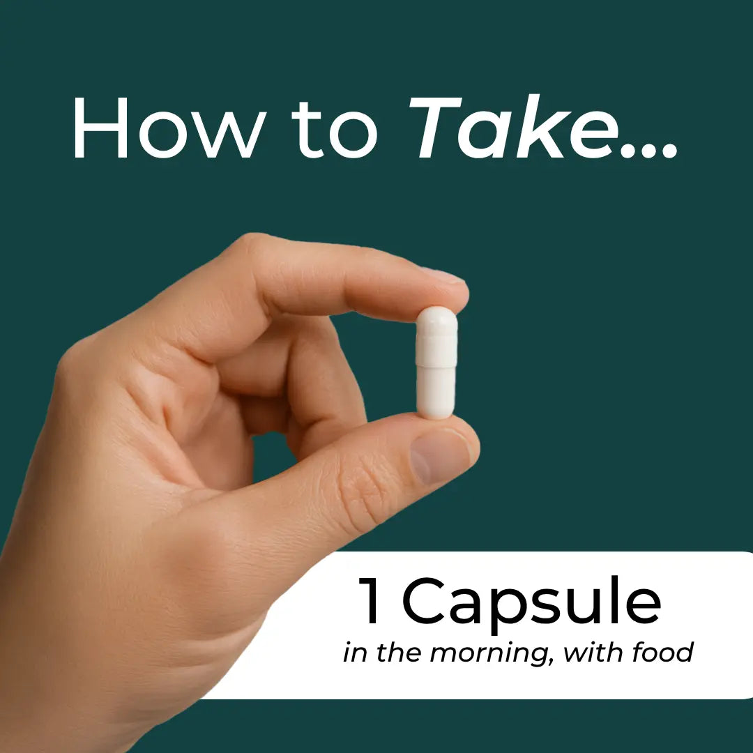 How to take Urolithin A infographic – teal background with hand holding white capsule; take 1 capsule in the morning with food