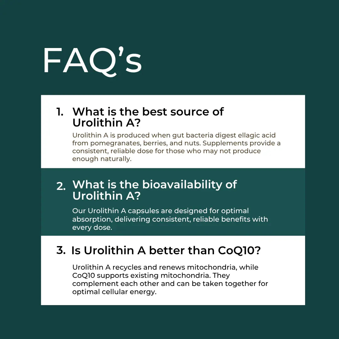 Urolithin A FAQ infographic – teal background with three questions: best source of Urolithin A (gut bacteria from pomegranates, berries and nuts), bioavailability (capsules designed for optimal absorption), and whether Urolithin A is better than CoQ10 (they complement each other for mitochondrial health)