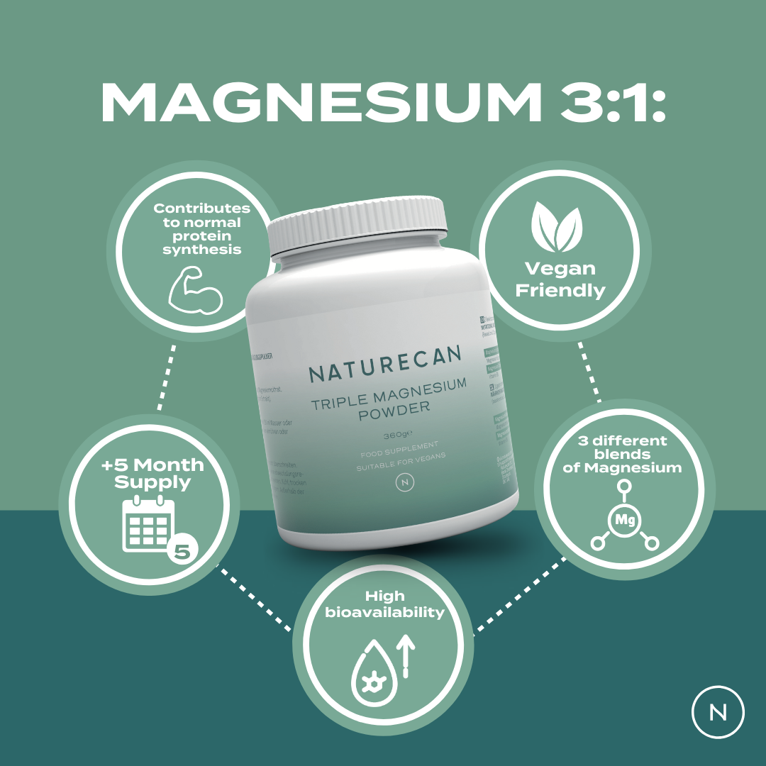 Naturecan Magnesium 3:1 Triple Magnesium Powder infographic – bottle on teal background with callouts: contributes to normal protein synthesis, vegan friendly, 5+ month supply, 3 different blends of magnesium, high bioavailability