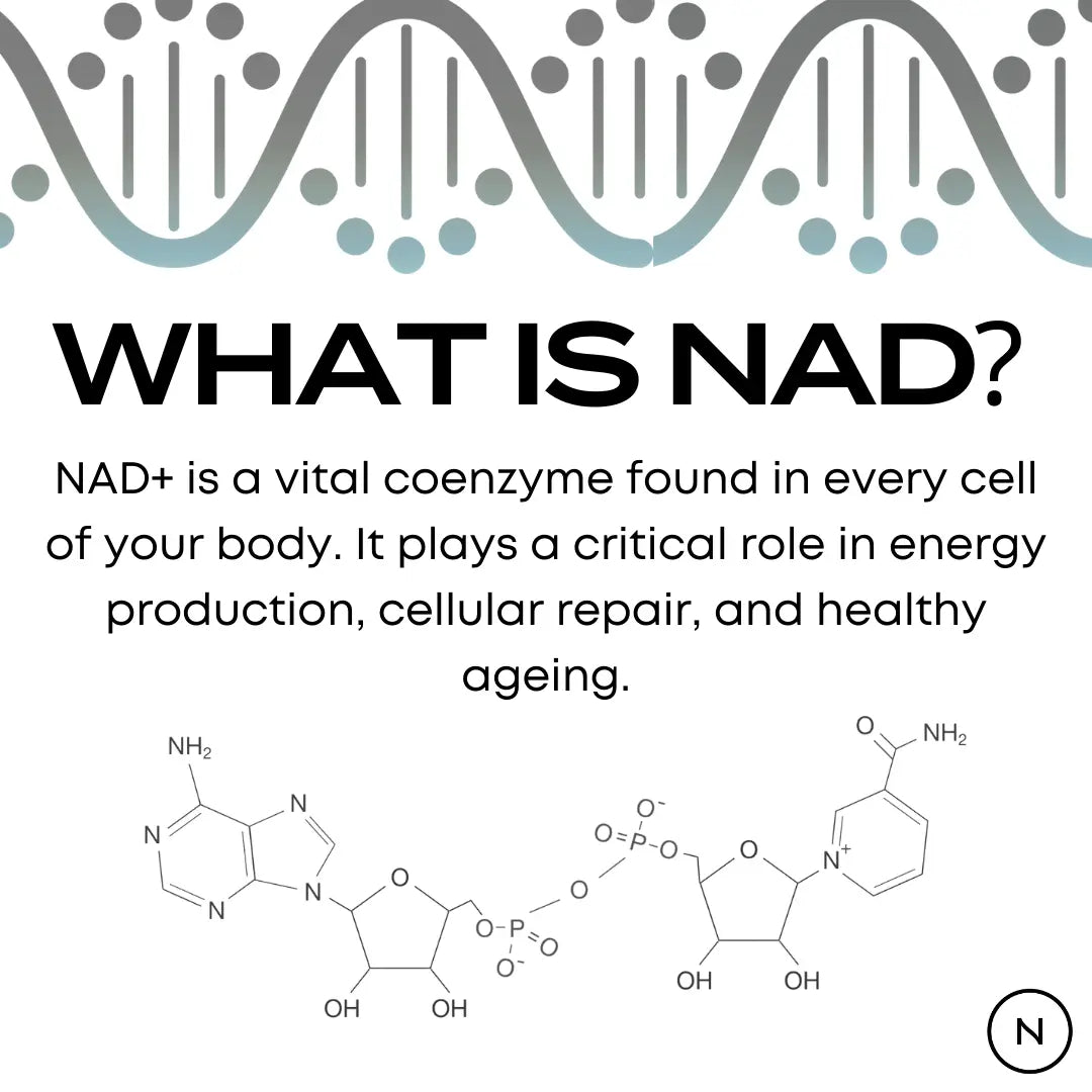 What is NAD? – infographic with double helix DNA strand and molecular structure of NAD+, a vital coenzyme in every cell for energy production, cellular repair and healthy ageing