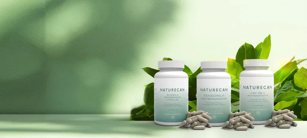 Three Naturecan Ashwagandha supplement bottles – Shoden, Sensoril, and KSM-66 – arranged together with green leaves and capsules scattered around them against a bright green background