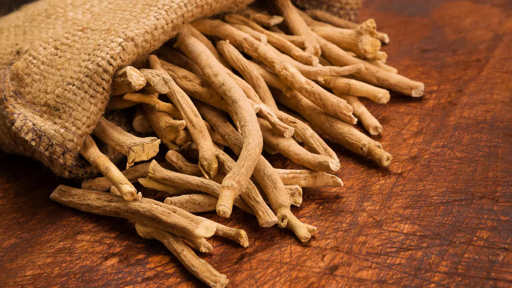 Dried ashwagandha root sticks spilling from a burlap hessian sack onto a dark wooden surface