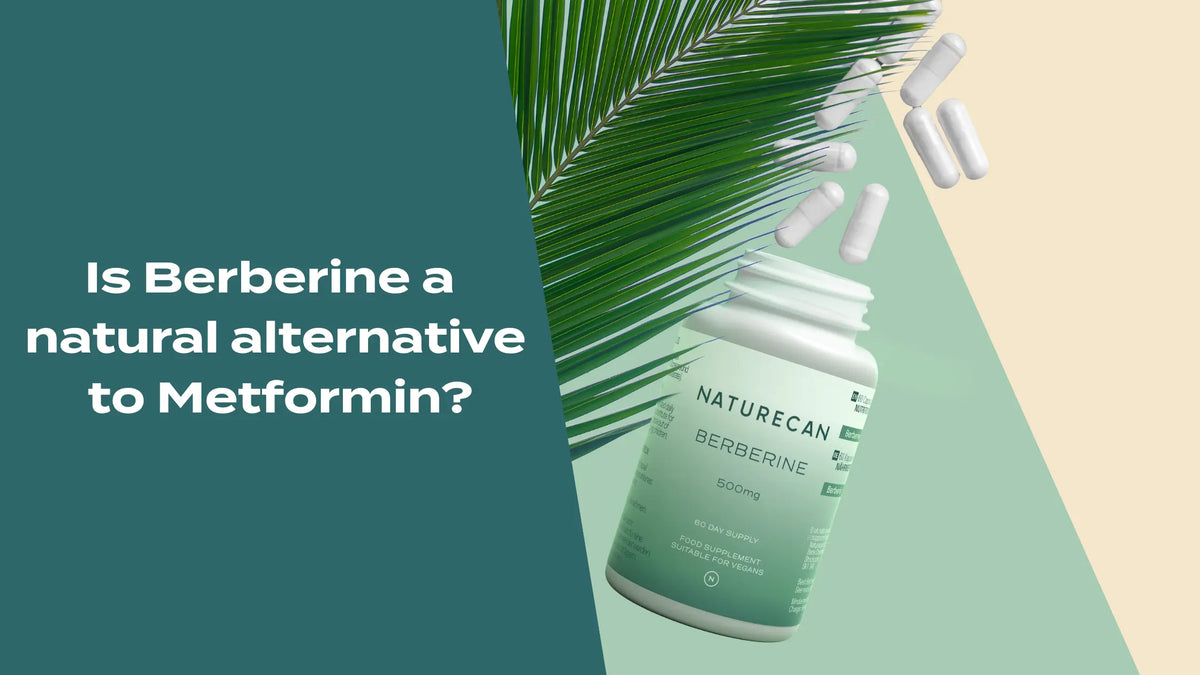 Blog banner showing Naturecan Berberine 500mg supplement bottle with scattered capsules and a palm leaf on a teal and cream background, with text reading Is Berberine a natural alternative to Metformin?