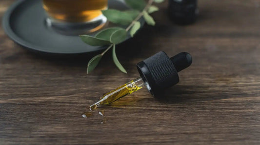 Which is the Best CBD Oil