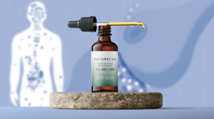 Naturecan Broad Spectrum CBD Oil 40% dropper bottle on a stone pedestal against a blue background with a glowing human body outline showing endocannabinoid system receptor points