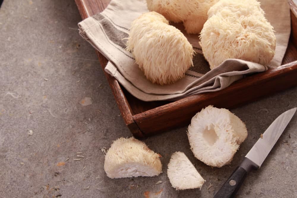 Lion's Mane for ADHD