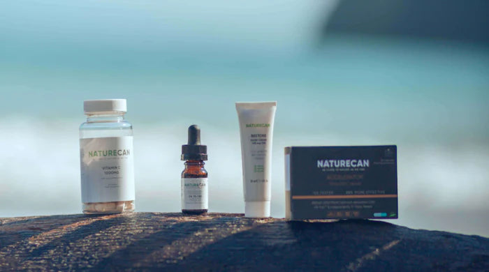 Four Naturecan products arranged on a weathered driftwood log against a blurred ocean background – Vitamin C capsules, a 2% CBD oil dropper, Restore CBD cream tube, and an Accelerator CBD box