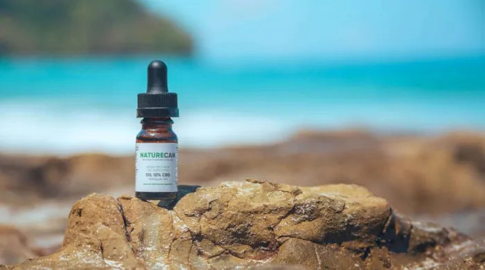 Naturecan CBD Oil 10% dropper bottle perched on a rocky coastal surface with a bright turquoise sea in the background