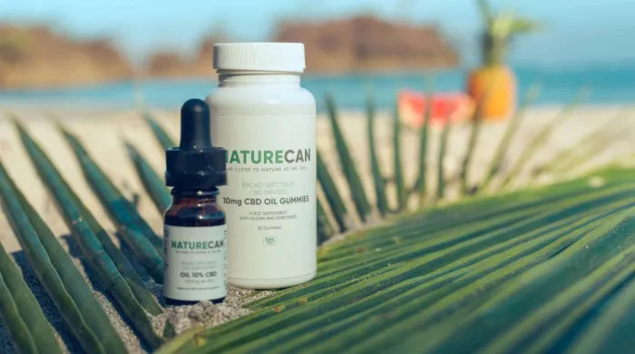 Naturecan CBD Oil 10% dropper bottle and Naturecan 10mg CBD Oil Gummies bottle resting on a green palm leaf on a sandy beach with a tropical scene behind them