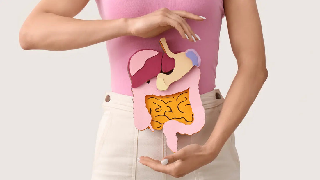 Woman in a pink top holding a colourful 3D illustration of the digestive system over her abdomen against a light grey background