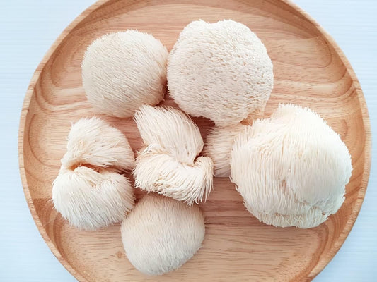 Lion's Mane Mushroom Benefits