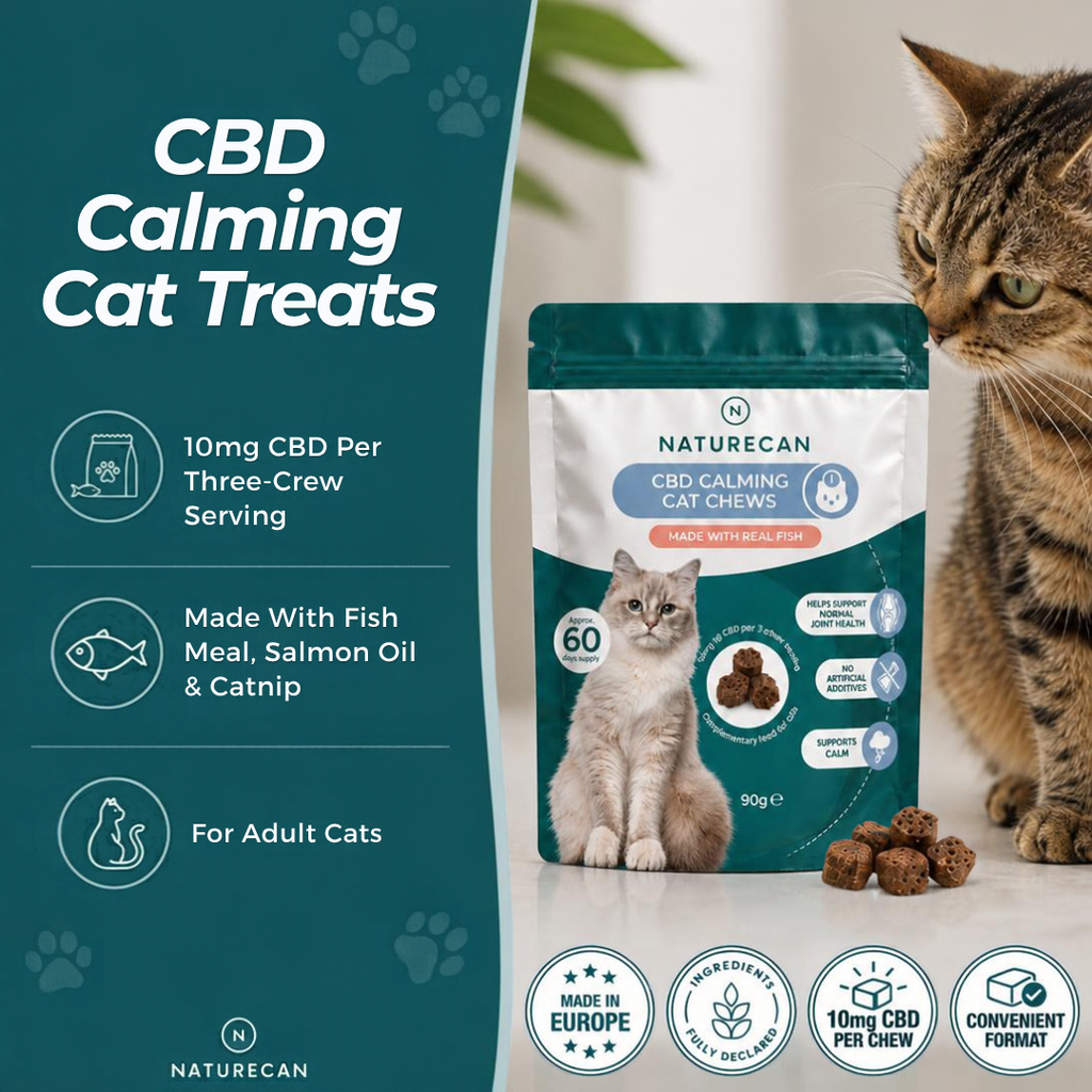 CBD Calming Cat Treats