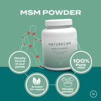 MSM Powder