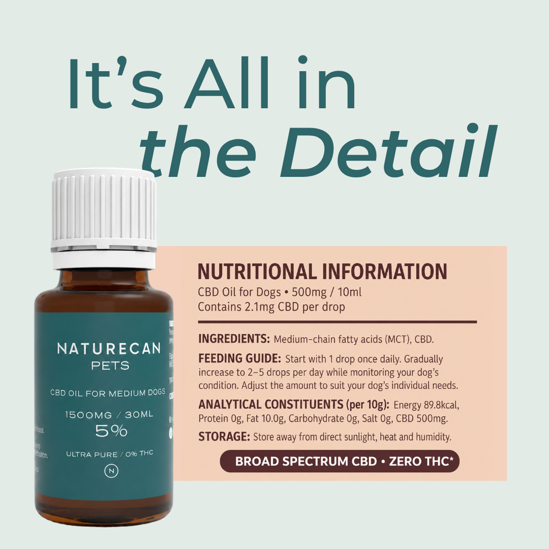 CBD Oil for Dogs