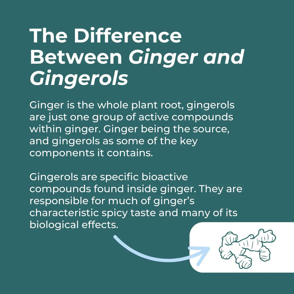 Organic Ginger Supplement