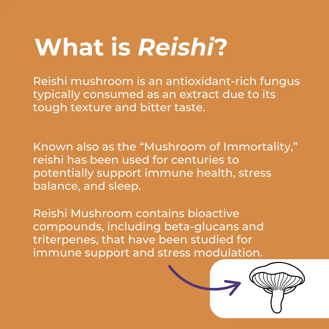 What Is Reishi infographic – warm orange background with mushroom illustration; antioxidant-rich fungus also known as the Mushroom of Immortality; used for centuries to support immune health, stress balance and sleep; contains beta-glucans and triterpenes studied for immune support and stress modulation