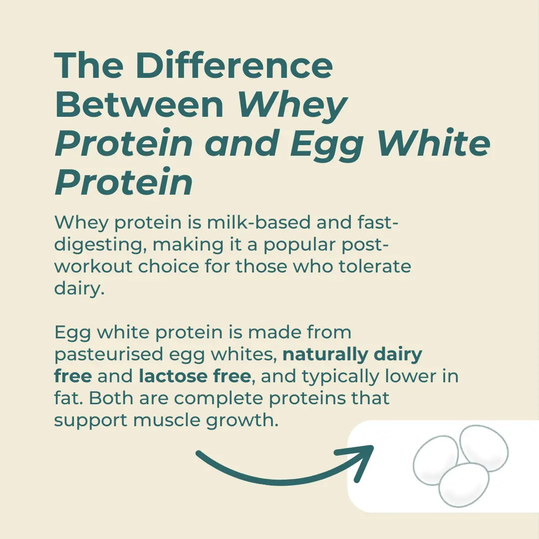 The Difference Between Whey Protein and Egg White Protein infographic – cream beige background with egg illustration; whey protein is milk-based and fast-digesting; egg white protein is from pasteurised egg whites, naturally dairy free and lactose free, lower in fat; both are complete proteins supporting muscle growth