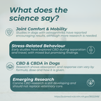 CBD Oil for Dogs
