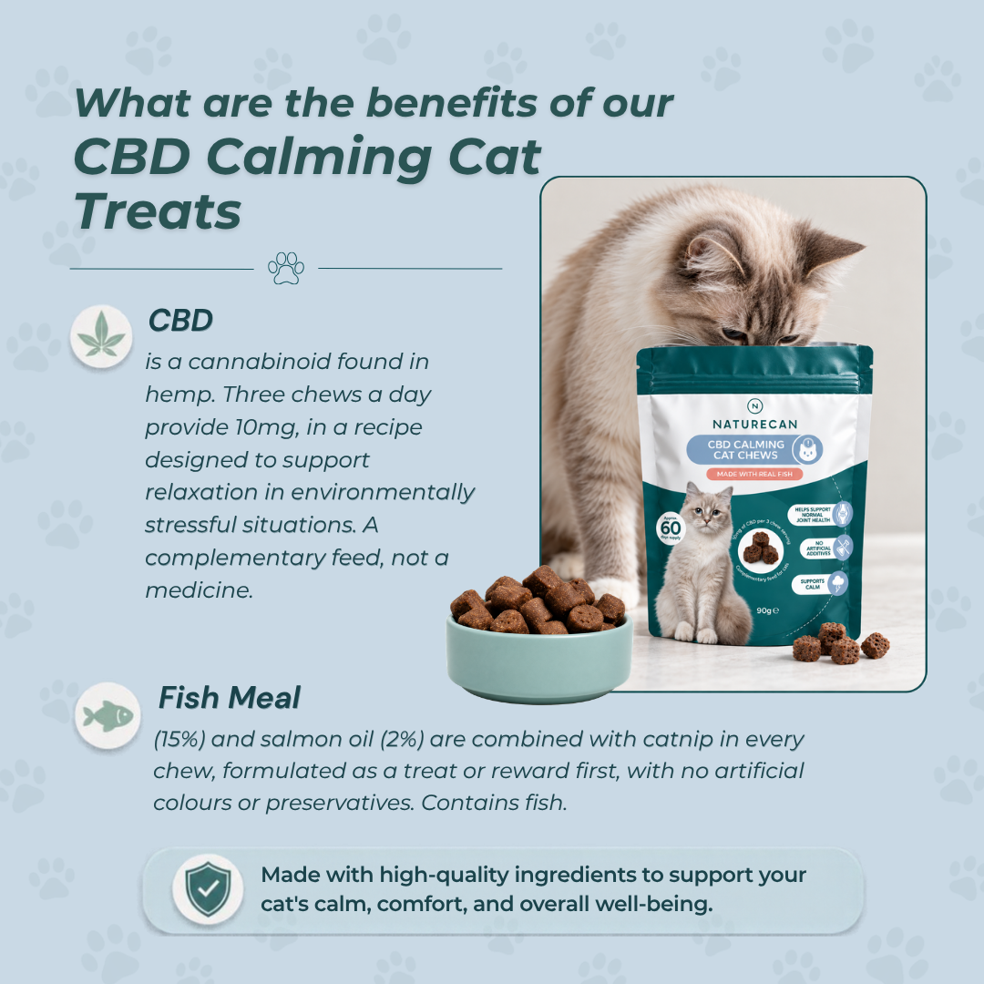 CBD Calming Cat Treats