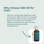 CBD Oil for Cats