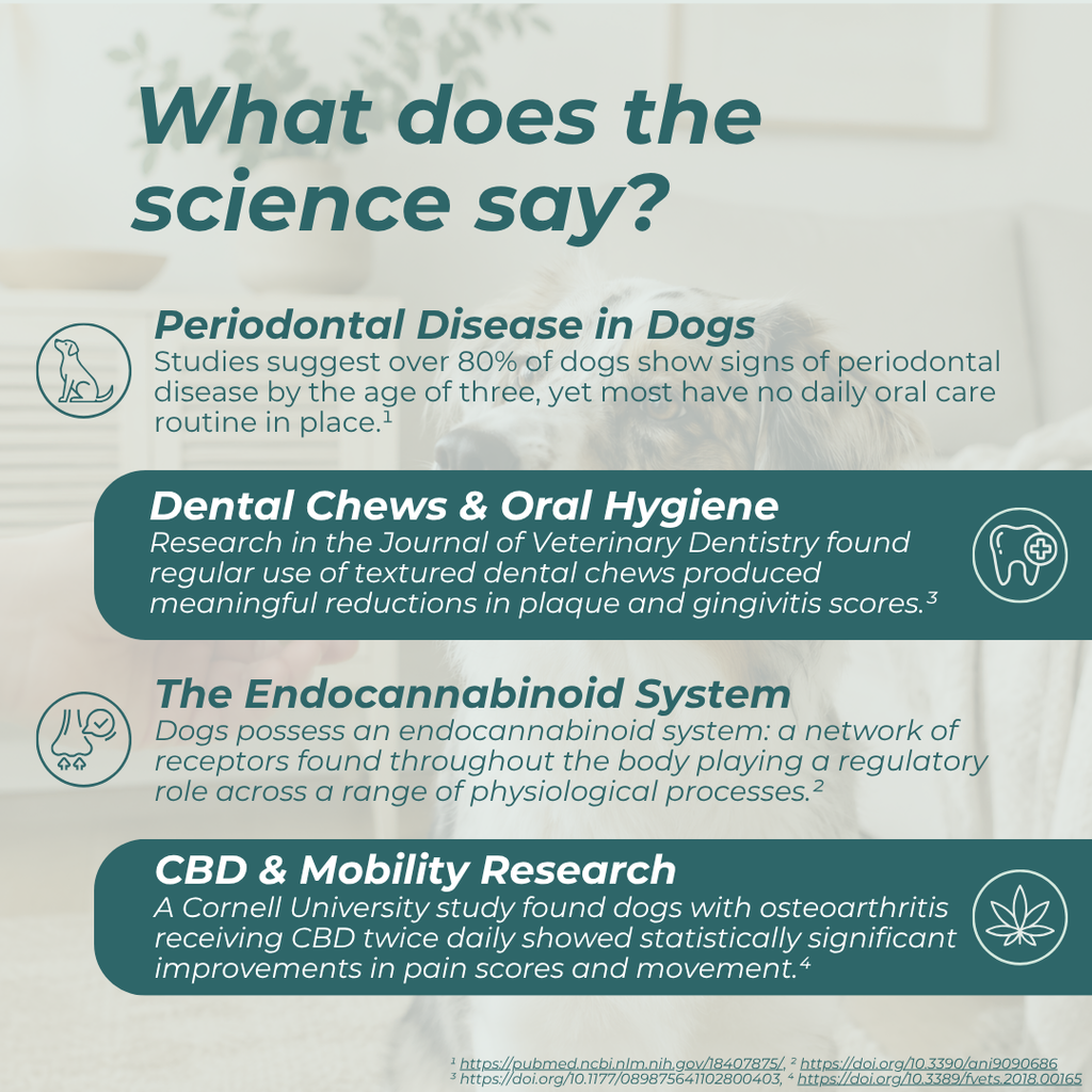 CBD Dental Sticks for Dogs