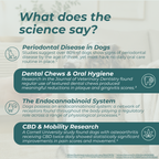 CBD Dental Sticks for Dogs