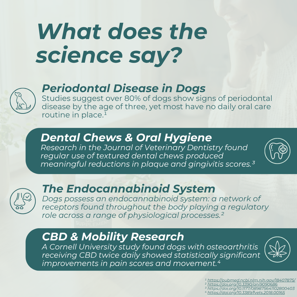 CBD Dental Sticks for Dogs