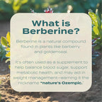 what is berberine