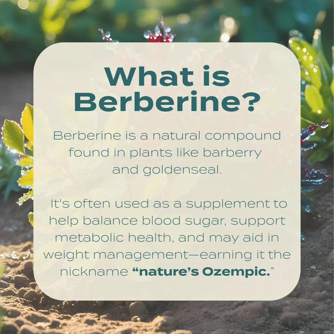 what is berberine