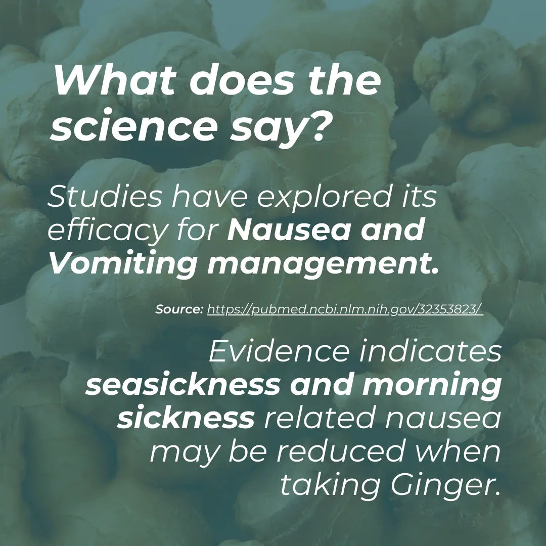 Organic Ginger science infographic – teal background with dried ginger root; studies exploring efficacy for nausea and vomiting management; evidence indicates seasickness and morning sickness related nausea may be reduced when taking ginger