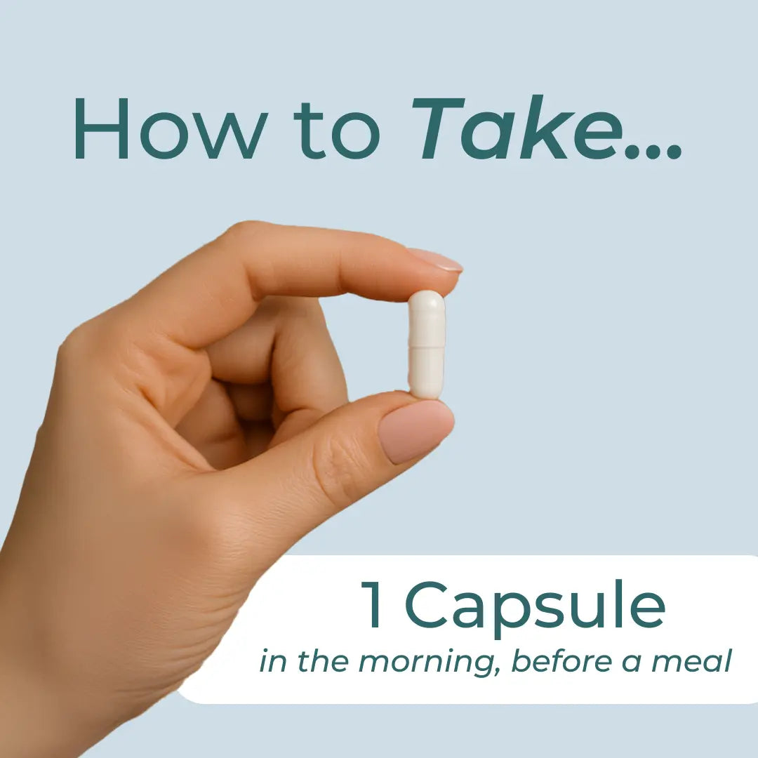 How to take Organic Ginger Capsules infographic – light blue background with hand holding white capsule; take 1 capsule in the morning, before a meal