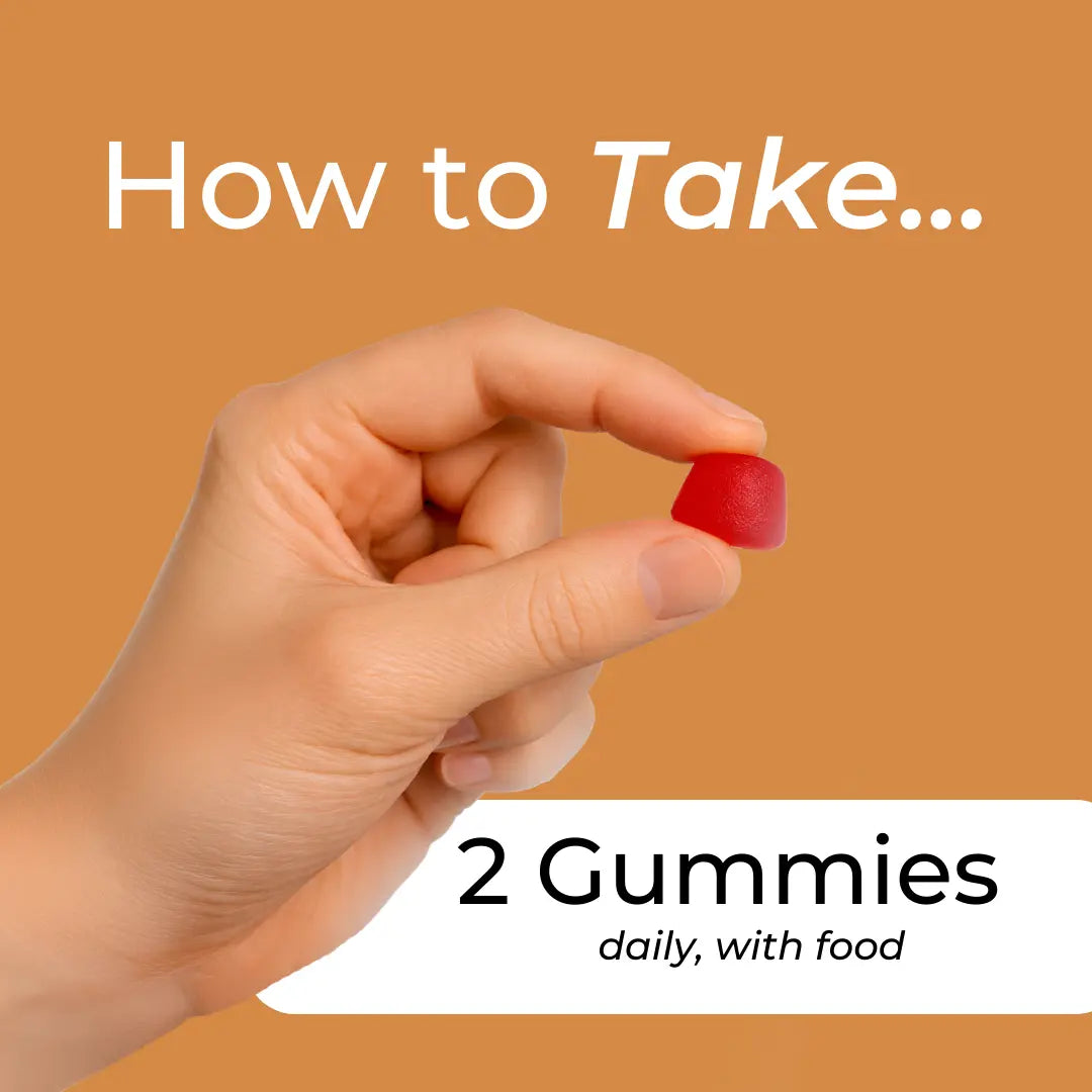 How to take Reishi Gummies infographic – warm orange background with hand holding a red gummy; 2 gummies daily with food