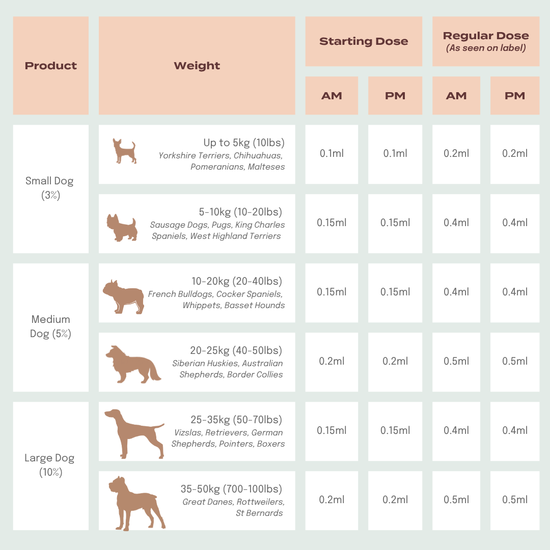CBD Oil for Dogs
