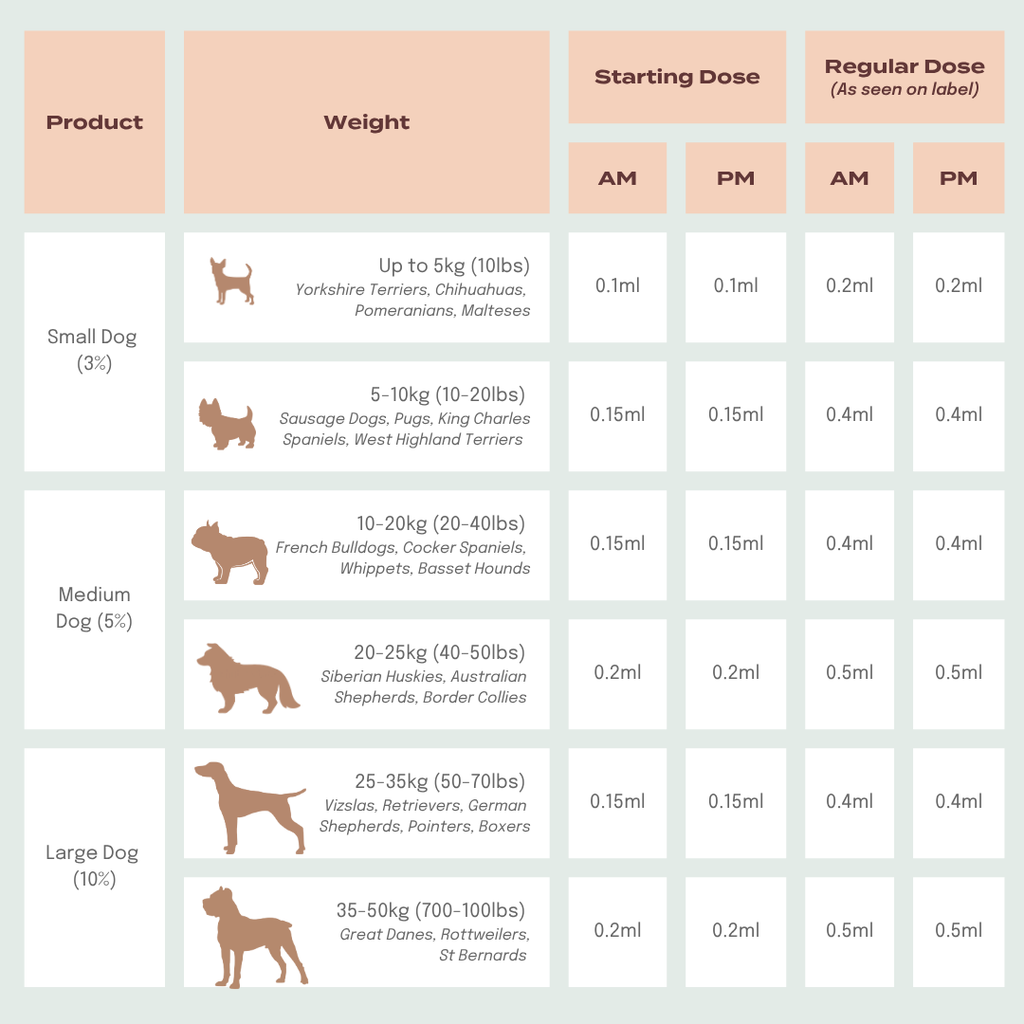 CBD Oil for Dogs