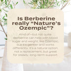 is berberine really nature's ozempic?