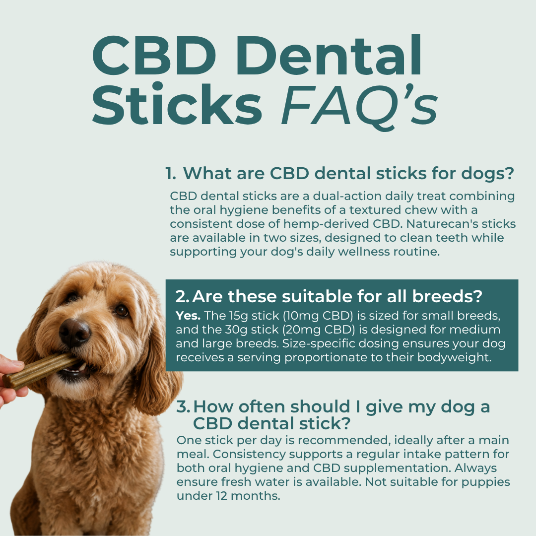 CBD Dental Sticks for Dogs