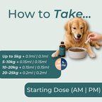 CBD Oil for Dogs