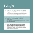 DAO Supplement