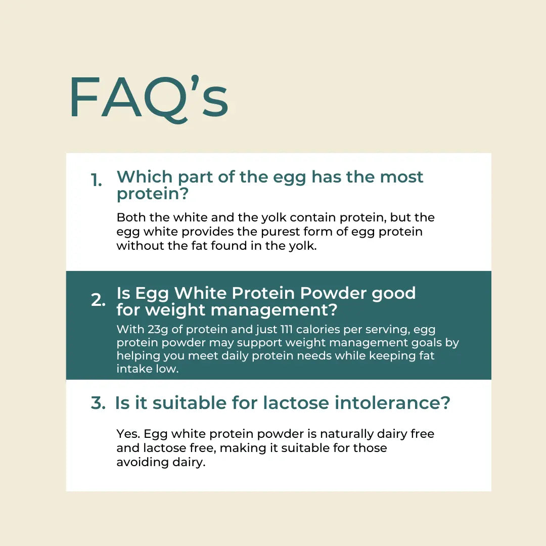 Egg White Protein Powder FAQ – cream background with three questions: which part of the egg has the most protein (egg white is the purest form without fat from the yolk), is it good for weight management (23g protein and 111 calories may support weight management), is it suitable for lactose intolerance (yes, naturally dairy free and lactose free)