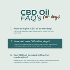 CBD Oil for Dogs