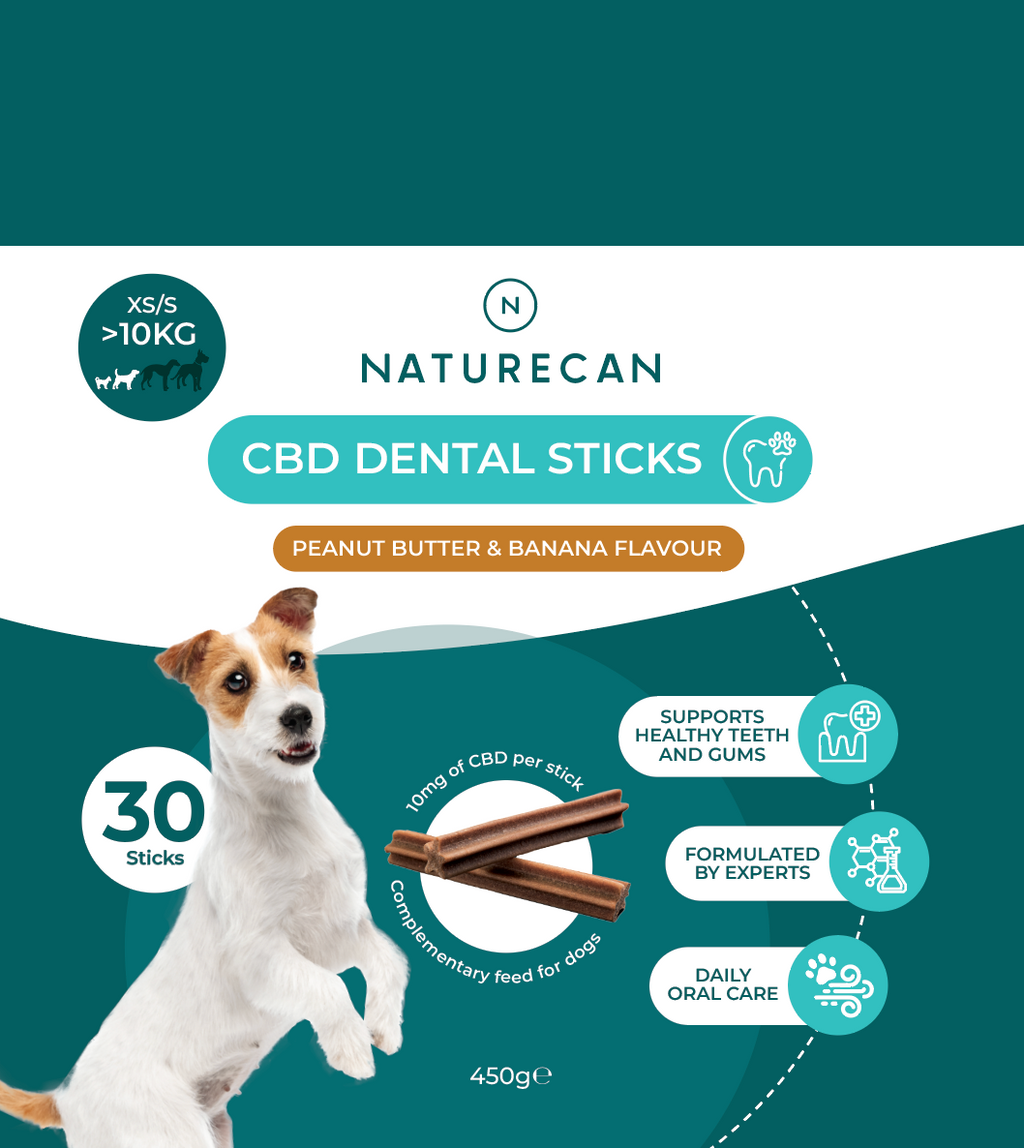 CBD Dental Sticks for Dogs
