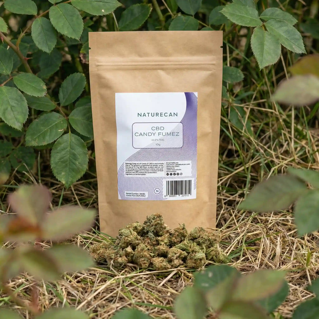 Naturecan CBD Candy Fumez lifestyle – kraft paper pouch with white and purple label, CBD Candy Fumez 10g, photographed outdoors surrounded by green foliage and dried grass with CBD flower buds