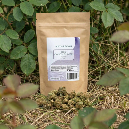 Naturecan CBD Candy Fumez lifestyle – kraft paper pouch with white and purple label, CBD Candy Fumez 10g, photographed outdoors surrounded by green foliage and dried grass with CBD flower buds