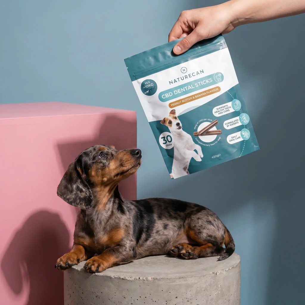 CBD Dental Sticks for Dogs