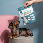 CBD Dental Sticks for Dogs